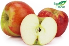 Champion apples organic Bio Planet