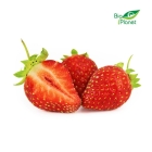 Organic Polish strawberries from Bio Planet