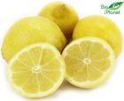 Organic lemons Bio Planet