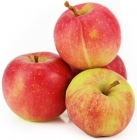 Jabłka na sok ekologiczne Bio