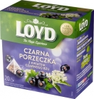 Фруктовый чай Loyd со вкусом черной смородины и цветком бузины