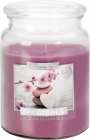 Bispol Scented candle in spa garden glass