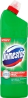 Domestos Extended Power Pine Fresh Cleaning and disinfecting liquid
