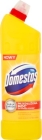 Domestos Prolonged Power Citrus Fresh Cleaning and disinfecting liquid
