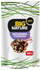 Big Nature Mieszanka studencka