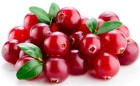 Fresh cranberries