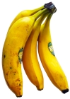 Ripe Bananas Quiz