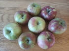 Cortland Apples