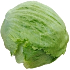 Iceberg lettuce