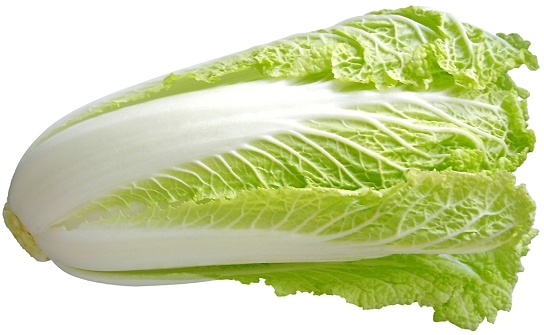 Chinese cabbage