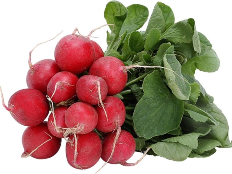 radish bunch