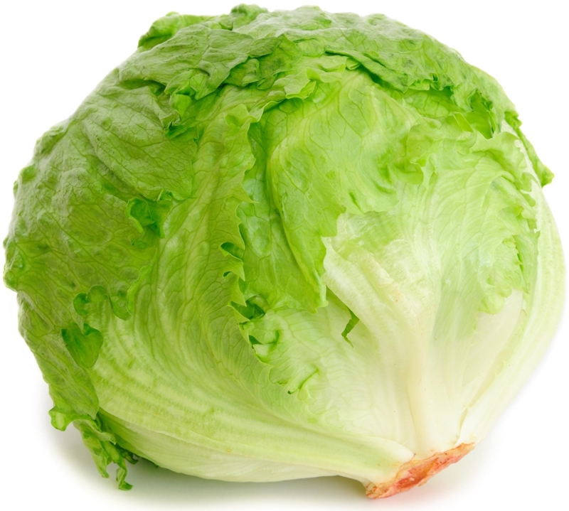 ice lettuce