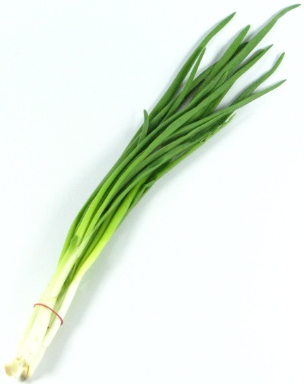 Szczypiorek pęczek