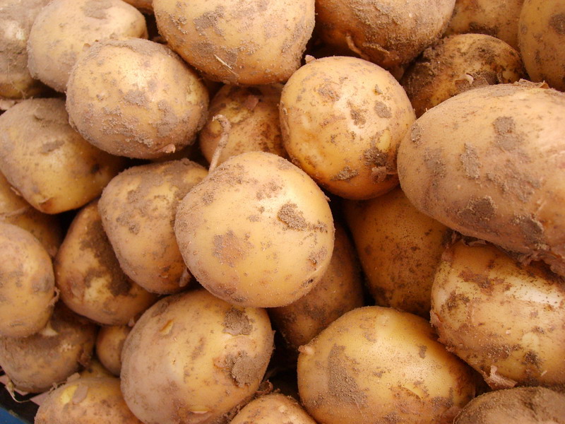 New potatoes 1kg