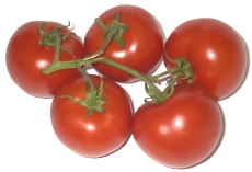 Pomidory na gałązce 500g