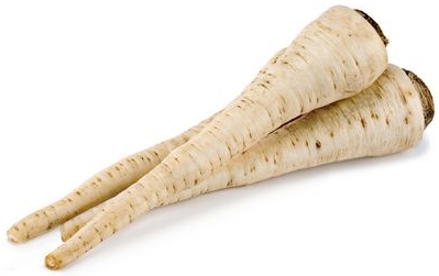 parsley root