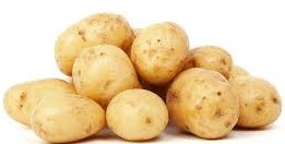 Ziemniaki młode z kaszubskiego pola