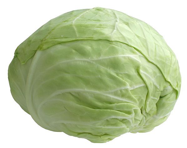 White cabbage