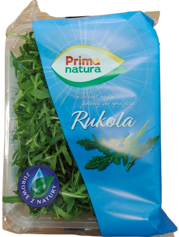 Rucola