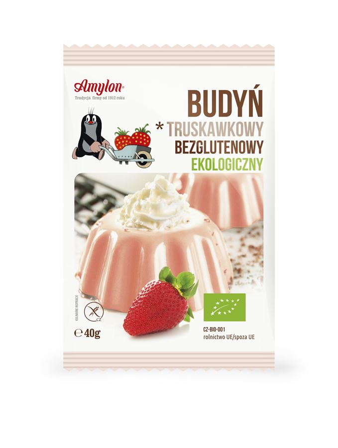 Organic strawberry pudding