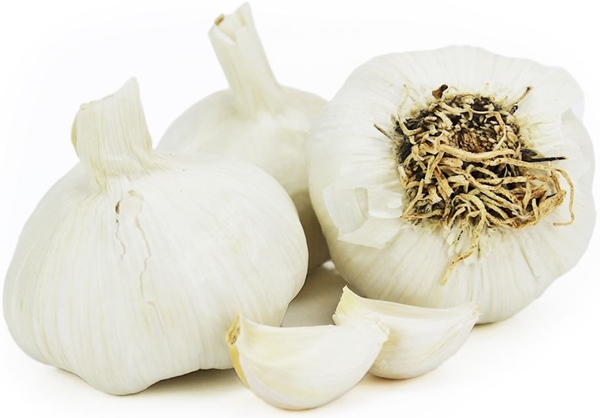 Knoblauch aus Spanien