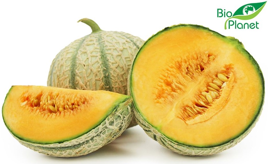 Melon ekologiczny Bio Planet