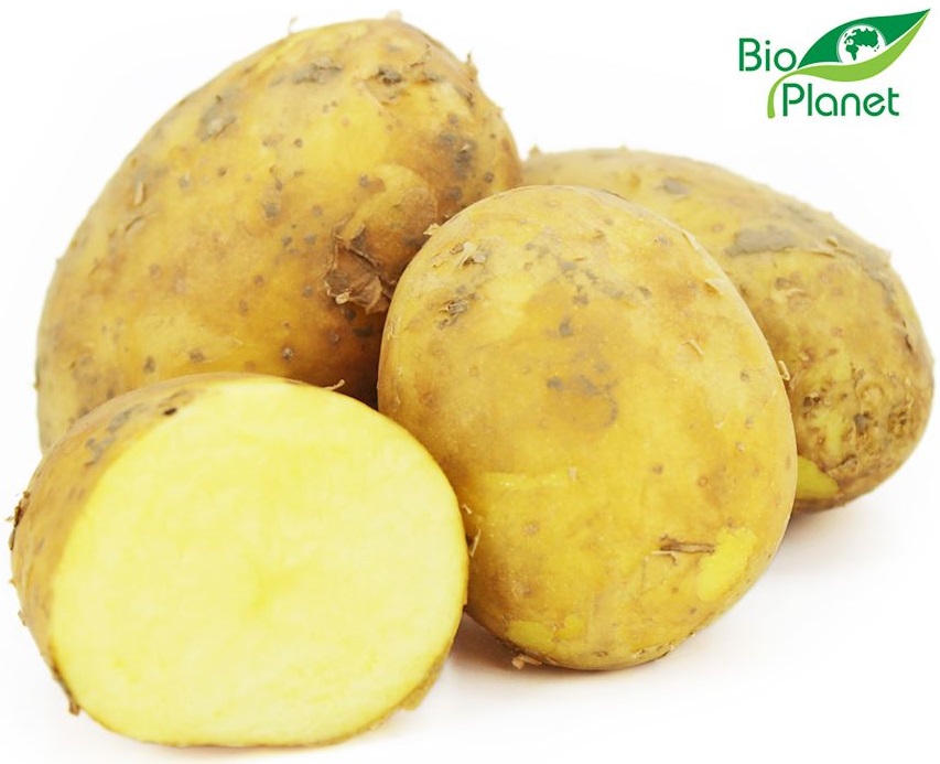 Yellow potatoes, organic Bio Planet