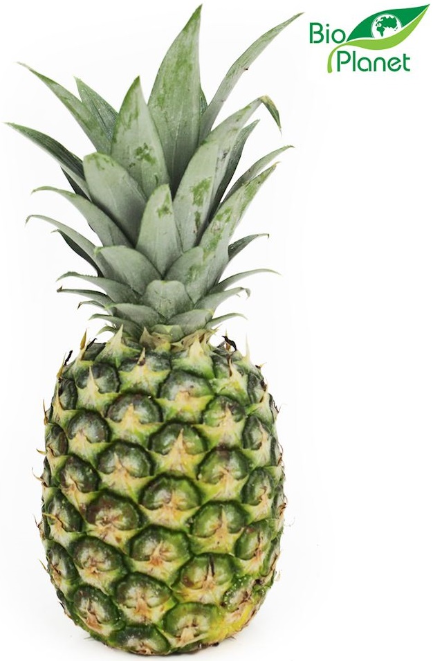 ananas frais bio