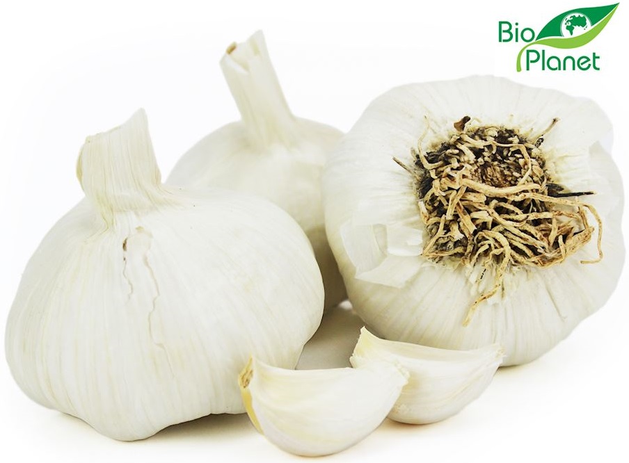 Organic garlic from Bio Planet