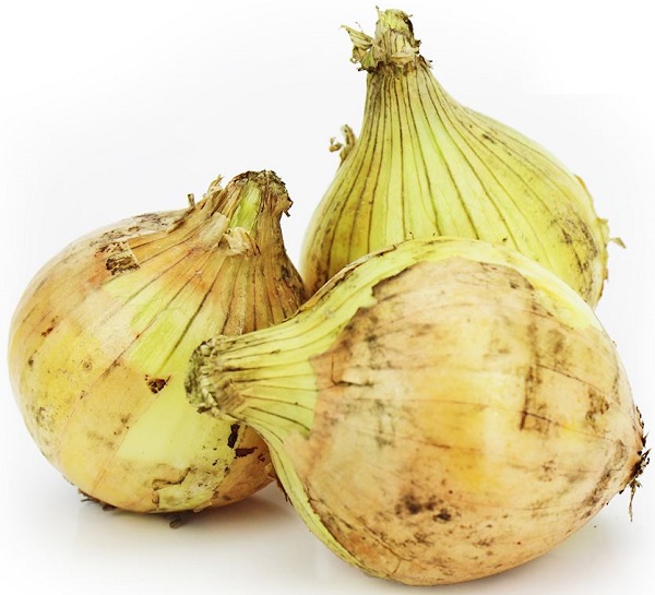 Organic yellow onion Bio Planet