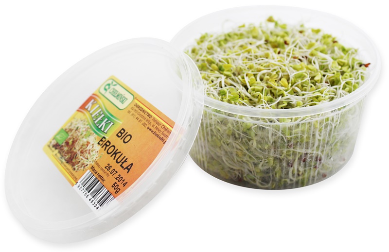 Fresh BIO broccoli sprouts