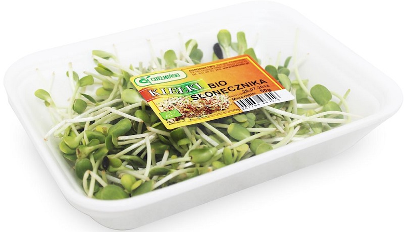 Fresh sunflower sprouts Bio Planet