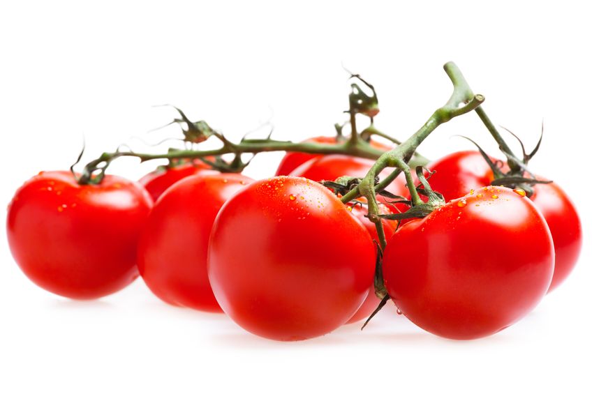 Pomidory na gałązce ekologiczne Bio Planet