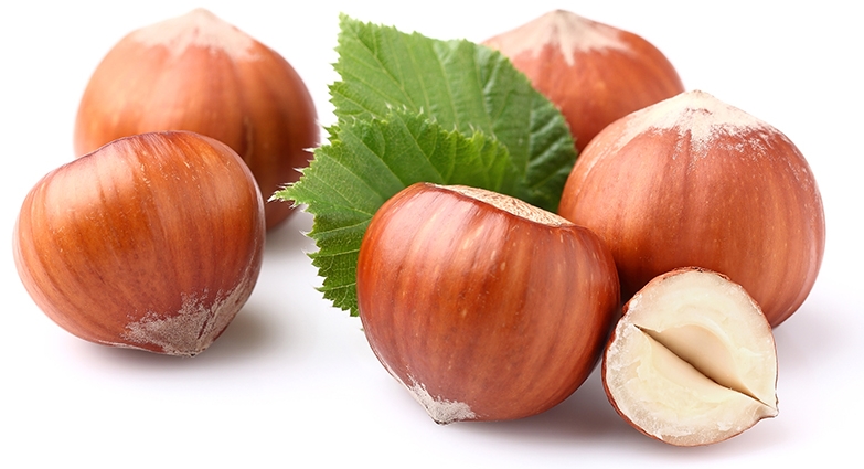 Hazelnuts in shell