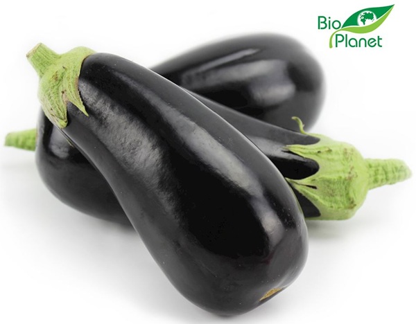 Organic Eggplant Bio Planet