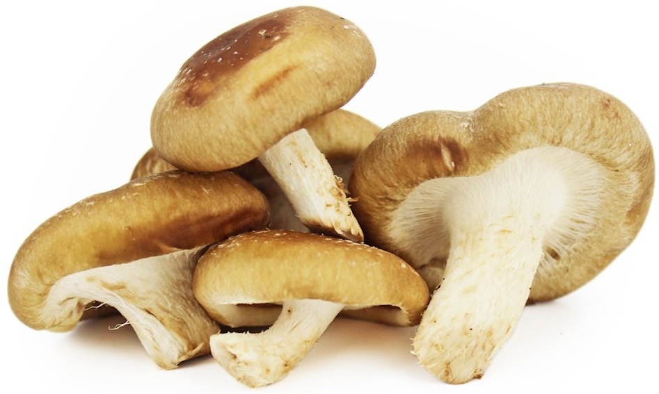 Fresh Shiitake Mushrooms Organic Bio Planet