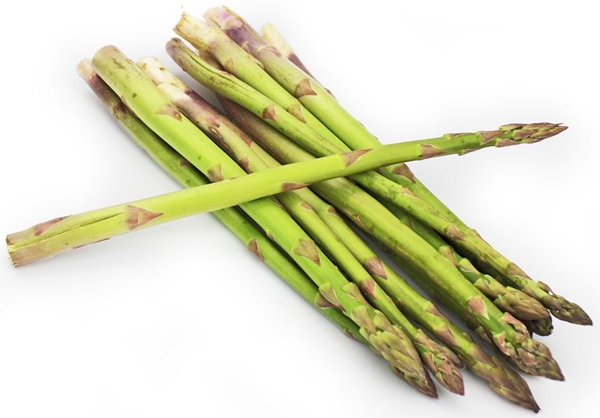 Green organic asparagus Bio Planet
