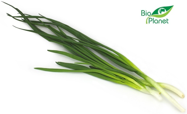 Szczypiorek ekologiczny Bio Planet
