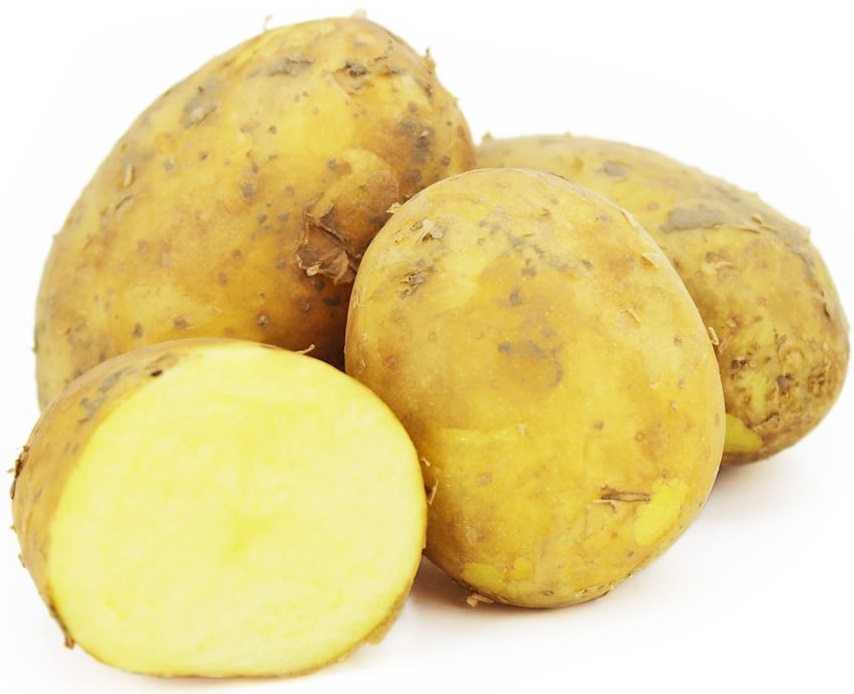 Yellow young organic potatoes Bio Planet