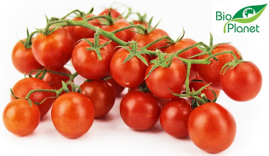 Pomidory Cherry na gałązce ekologiczne Bio Planet
