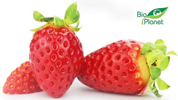 Organic strawberry Bio Planet