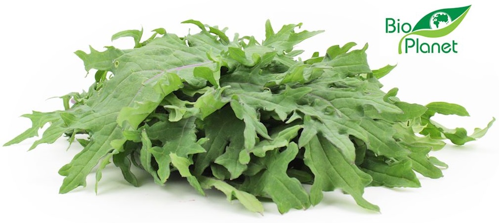 Organic kale from Bio Planet  