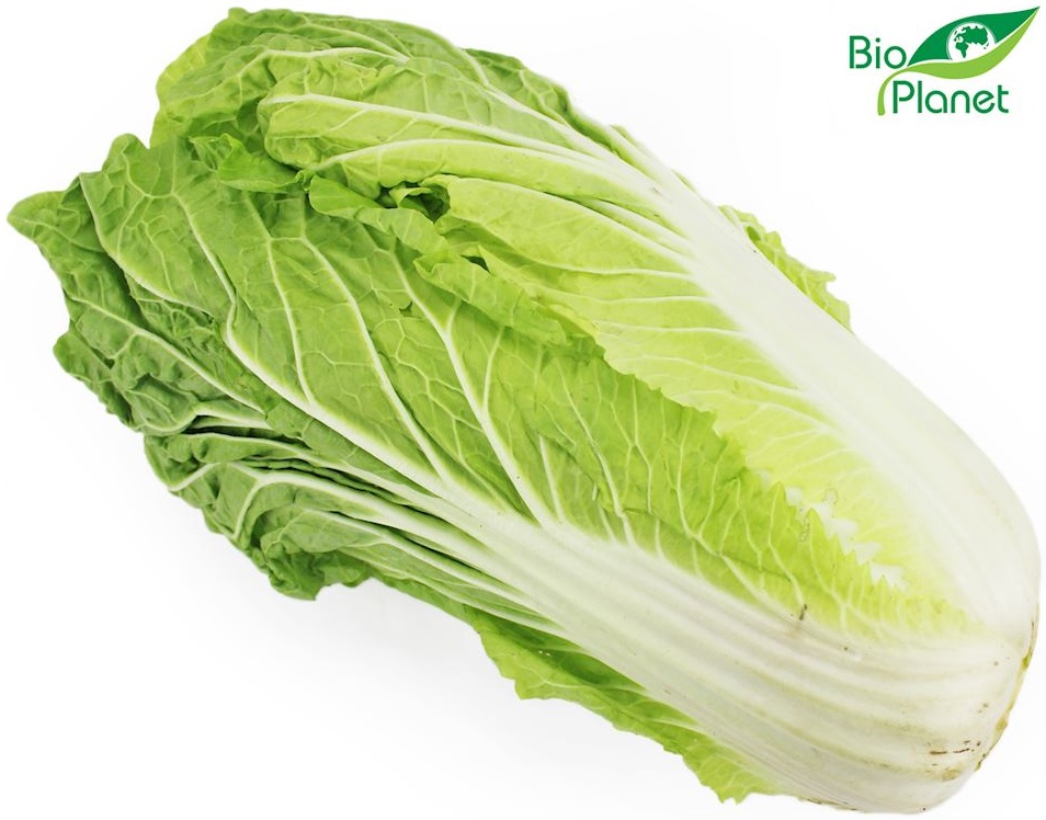 Organic Chinese cabbage Bio Planet