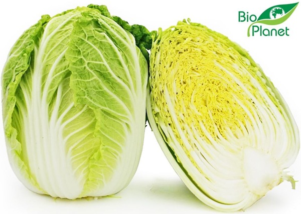 Organic Chinese cabbage Bio Planet
