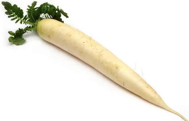 White turnip