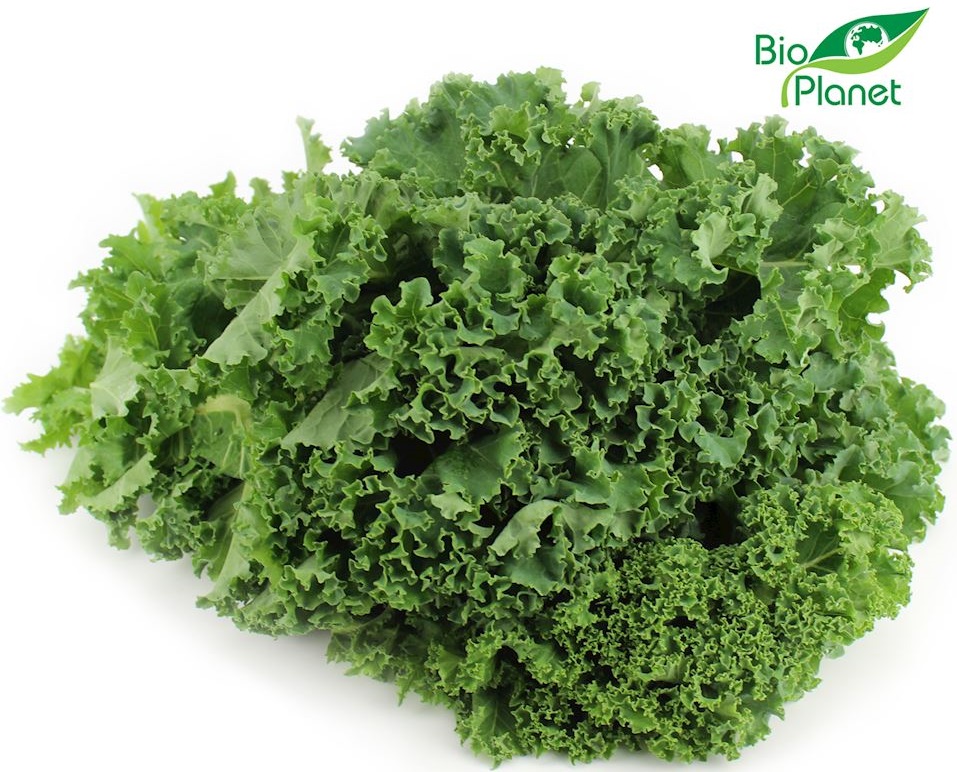 Organic kale Bio Planet