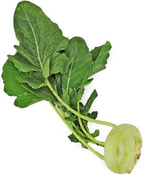 Bio Planet organic kohlrabi