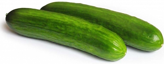 Greenhouse cucumber