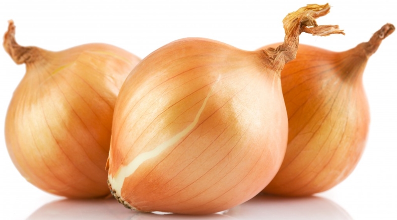 Onion