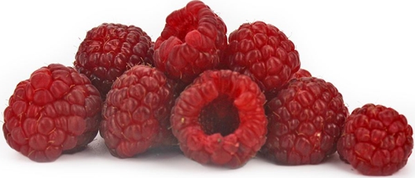 Organic raspberries Bio Planet